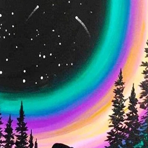 Arctic Night Diamond Painting